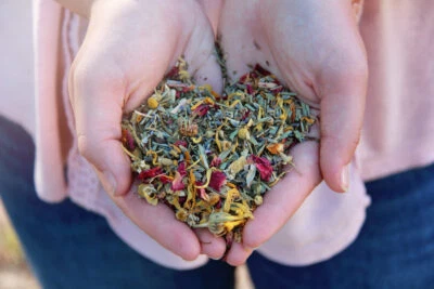 Rosie nest, dried herbs for nest box - Image 1 of 2