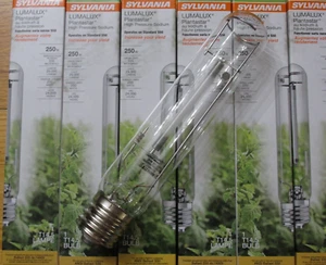 QTY. 8 Sylvania 250-Watt LUMALUX T 14.5 Plantastar Plant Light S50 - Picture 1 of 15