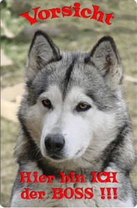 Alaskan MALAMUTE - A4 Metall Warnschild Hundeschild SCHILD Türschild - MUT 07 T7 - Bild 1 von 2
