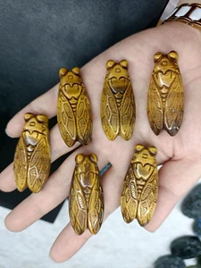 1.8” Natural Tiger’s Eye Cicadas Hand Carved Quartz Crystal Skull Reiki Healing - Picture 1 of 8