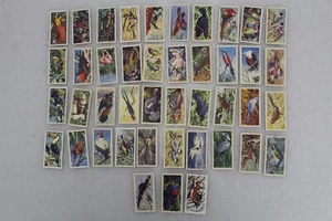 43X Tropical Birds 1961 Brooke Bond Tea Cards, Incomplete Set - Picture 1 of 10
