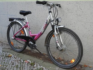 Top 100% ok ALU Mädchen Damen PEGASUS Fahrrad 24 zoll Feder Gabel Naben Dynamo - Bild 1 von 20