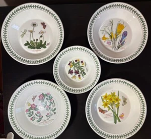 Set of 5 Portmeirion Botanic Garden Rim Soup Cereal Bowls 8.5” & 6.5” LOT - Picture 1 of 7