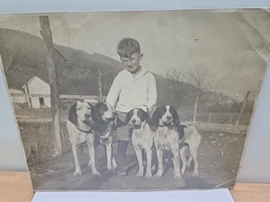 Vintage Black/White Photograph Boy With Dogs Barn In Background 8" X 10" - Picture 1 of 5