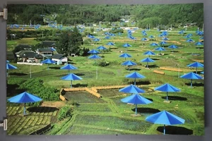 CHRISTO 1991 “The Umbrellas” (Blue), RARE Hand-Signed POSTER, Photo by Volz, EXC - Bild 1 von 8