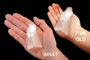 KERNITE 3" 4-7 OZ Muestra Mineral de Roca Cruda Corona Áspera Chakra Cristal Curativo - Imagen 1 de 3