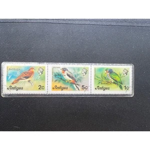 Barbuda Antigua Bird Stamps 1976 Dove Rufous Throated Solitaire Parrot Laminated - Picture 1 of 5