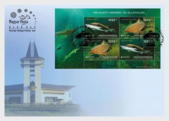 hungary 2024 hongrie Europa Underwater Fauna Flora FISH Sturgeon Carp ms4v FDC - Image 1 of 1