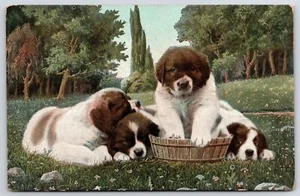 Postal publicada de cuatro perritos jugando con cesta en el jardín animal - Imagen 1 de 2