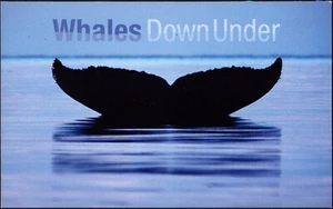 2006 Whales Down Under Stamp Pack - Picture 1 of 5