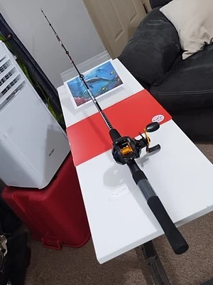 Рыболовное удилище Baicasting Zebco Rhino Tough 6 футов среднее 6-14 фунтов и катушка для окуня мегалитая - Изображение 1 из 4