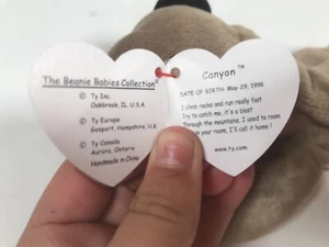canyon beanie baby 1998 *rare* mint condition - Picture 1 of 4
