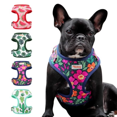 Soft Nylon Dog Harness Breathable Padded Walking Vest Adjustable French Bulldog - Image 1 of 4