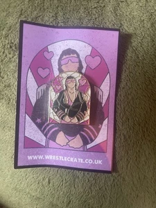 Reino Unido Wrestlecrate Bret Hitman Hart Vitral Solapa Esmalte Pin Insignia WWE WWF - Imagen 1 de 1