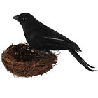 Fake Crows Outdoor Decor - 2PC Black Halloween Crow Prop