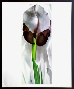 Georgia O' Keeffe IRIS Blumenmuster botanische Blumen Kunstdruck Buchteller 32 - Bild 1 von 3