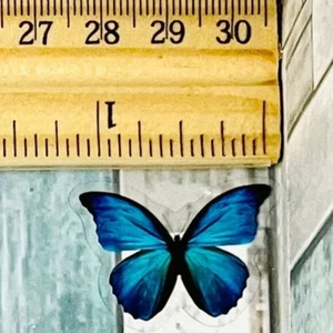 Butterfly Transparent Waterproof Sticker Decal - Picture 1 of 38