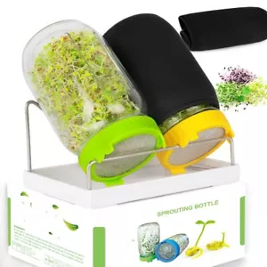 Sprouting Jar Kit - 2 Pcs Mason Jars with Lids, Strainer and Dip Tray - Picture 1 of 8
