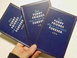3 Cards Hallmark Sympathy Cards for PET Our Furry Friends In Our Hearts Forever - Picture 1 of 8