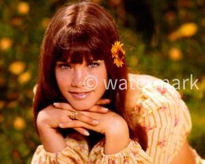 Actriz Barbi Benton, modelo 8X10 reimpresión fotográfica - Imagen 1 de 1