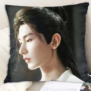 Cojín de almohada The Lotus Casebook Cheng yi 成毅 Li Xiangyi dormitorio 40*40 cm - Imagen 1 de 1