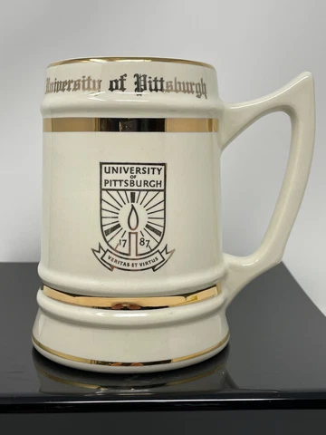 University Of Pittsburgh Stein Cover