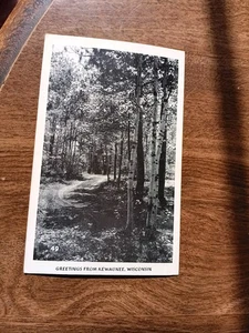 Vintage Grüße aus Kewauness Wisconsin Foto Postkarte - Bild 1 von 2