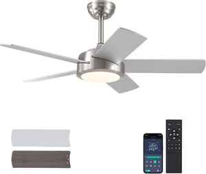 Ceiling Fan with Lights and Remote/App - 42" Modern Low Profile Ceiling Fan with - Picture 1 of 9