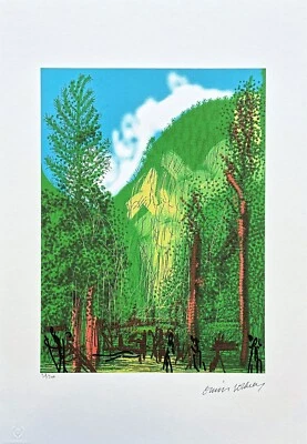 DAVID HOCKNEY - El traje de Yosemite - Cuatro árboles - firmado, numerado edición 38/500 Foto 1 de 4