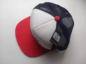 CAPPELLO CAPPELLO A MAGLIA ORIGINALE TROY LEE DESIGNS LOGO SNAPBACK CAMIONISTA NUOVO MTB DH XC AM - Foto 1 di 6