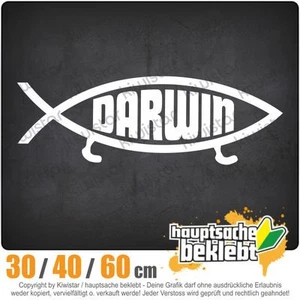 Darwin Fisch chf0109  in 3 Größen JDM  Heckscheibe Aufkleber - Picture 1 of 1