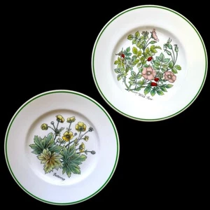 Flores silvestres de TIFFANY - Hecho en Inglaterra - Platos de porcelana Johnson Brothers (2) - Imagen 1 de 11