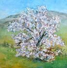 TRUJILLO not jose / Original Oregon Spring Tree blossoms Impasto oil plein air