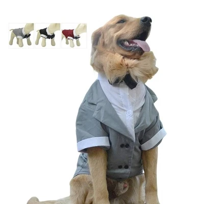 XL Gris Formal Traje de Perro Esmoquin con Pajarita Negra para Perros Pequeños Medianos Foto 1 de 4
