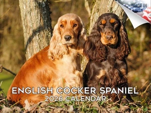 English Cocker Spaniel Dog Breed Calendar 2026 12x18 Made in USA - Picture 1 of 7