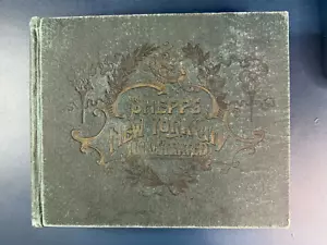 Shepp's New York City Illustrated Scene & Story Metropolis Book Hardcover 1894 - Foto 1 di 7