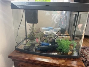 64 Litre Panoramic love fish Tank with accessories - Picture 1 of 4