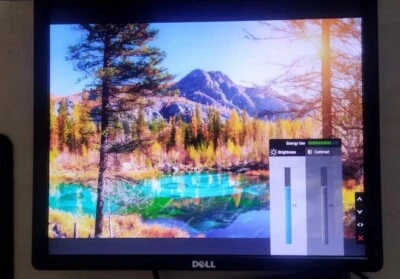 Monitor Dell P1913Sb TN 49 cm 19" Zoll 5:4 FullHD 60Hz VGA DVI DisplayPort 2xUSB - Bild 1 von 4