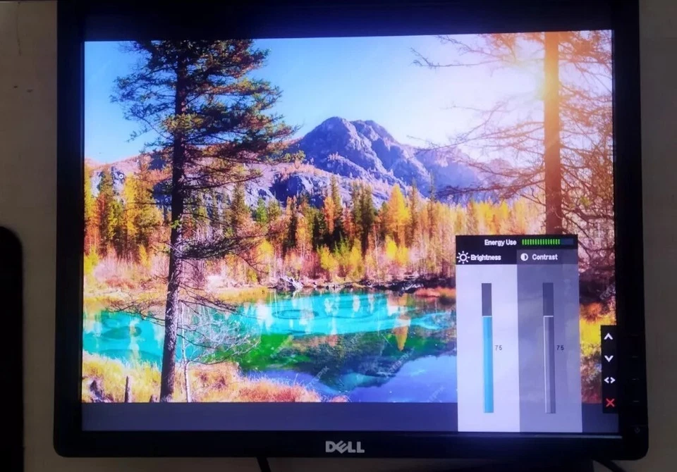 Monitor Dell P1913Sb TN 49 cm 19" Zoll 5:4 FullHD 60Hz VGA DVI DisplayPort 2xUSB - Bild 1 von 4