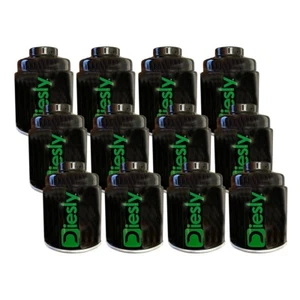 Diesly® 6.7L RAM/Dodge Cummins Diesel Frame Fuel Filter 13-18 2500-5500-12 Set - Foto 1 di 3