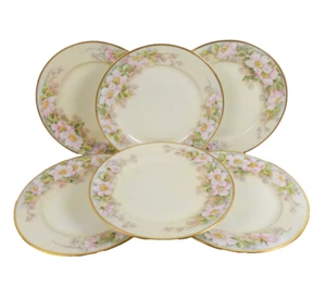 6 Hand Painted Porcelain 9.25" Luncheon Plates Wild Roses signed J Kelley - Picture 1 of 11