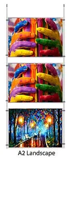 A2 Cable Display Kit Acrylic Poster Holder Retail Shop Window Signs Wire display - Picture 1 of 3