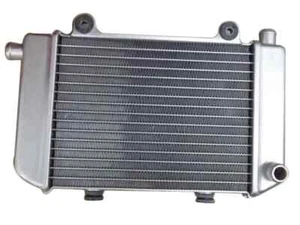 SFM / Sachs RADIATOR P402540500103250 Sachs Speedjet RS bis 2012SFM Speedjet RS - Bild 1 von 1