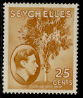 Seychelles Gvi Sg141, 25C Brown-Ochre, M Mint. Cat £50. Chalky