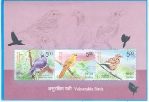 India 2017 Aves Vulnerables Nilgiri Paloma Wablar Pipat Fauna Hoja Miniatura - Imagen 1 de 2