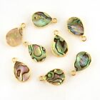 Natural Colorful Abalone Shell Gold Electroplated DIY Making Connectors 8 Pc Lot