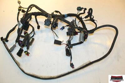 2014 Skidoo Summit 800R Main Engine Wiring Harness Motor Wire Loom 515177542 - Imagem 1 de 4