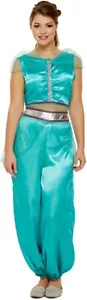 Adult Arabian Princess Fancy Dress Costume Novelty Stag Party Funny Costumes - Picture 1 of 7