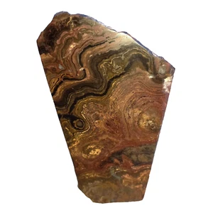 0,35Kg Stromatolith Anschliff Stromatolite Lebensfluß Fossil Cyanobakterien XW - Bild 1 von 12