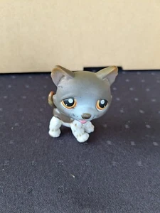 LPS Littlest Pet Shop #174 Husky marrone e nero - Foto 1 di 4